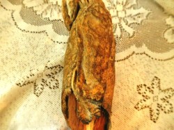 RAWHIDE INUIT B